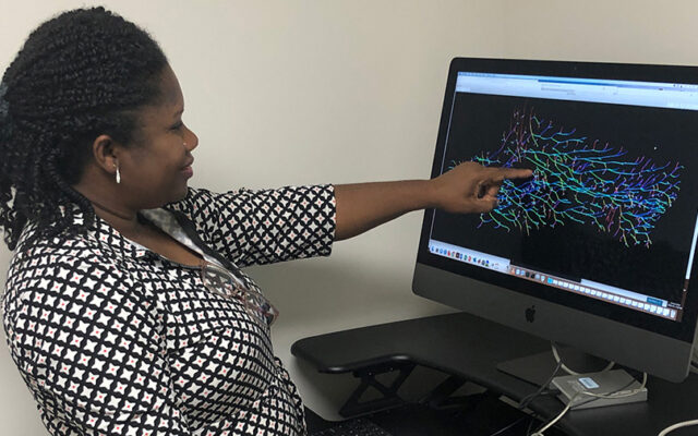 Uduak George pointing to computer screen with visual of mammary cells.